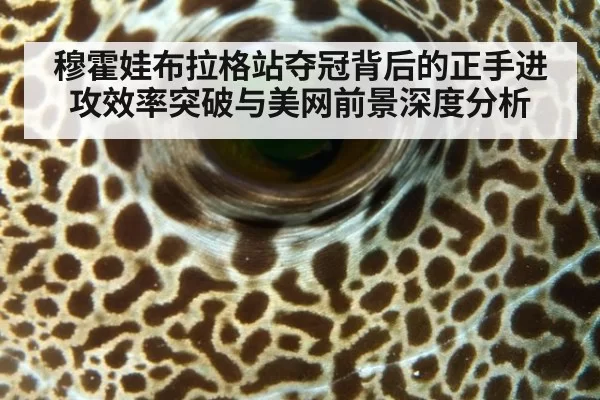 穆霍娃布拉格站夺冠背后的正手进攻效率突破与美网前景深度分析
