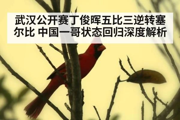 武汉公开赛丁俊晖五比三逆转塞尔比 中国一哥状态回归深度解析