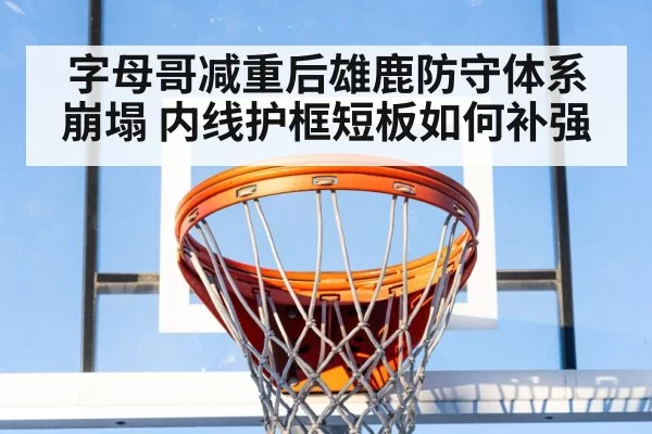 NBA basketball rim close up